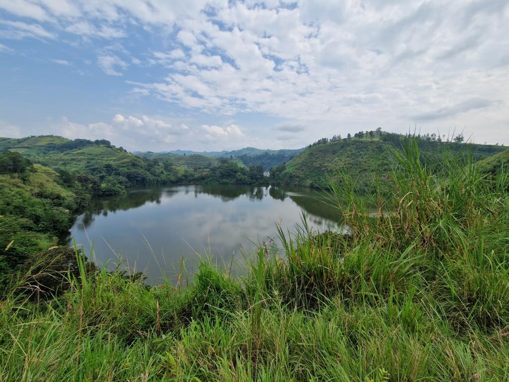 Natural Walks & Scenic View Experience