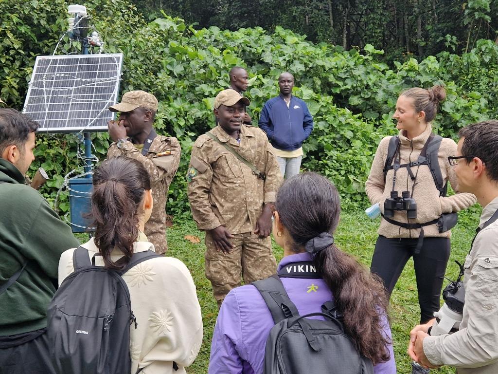 Why Book Your Gorilla Safari with Hyliota Africa Safaris.