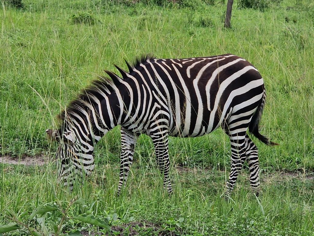 About Lake Mburo National Park